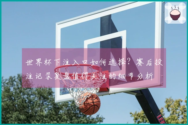 世界杯下注入口如何选择？赛后投注记录复盘值得关注的细节分析