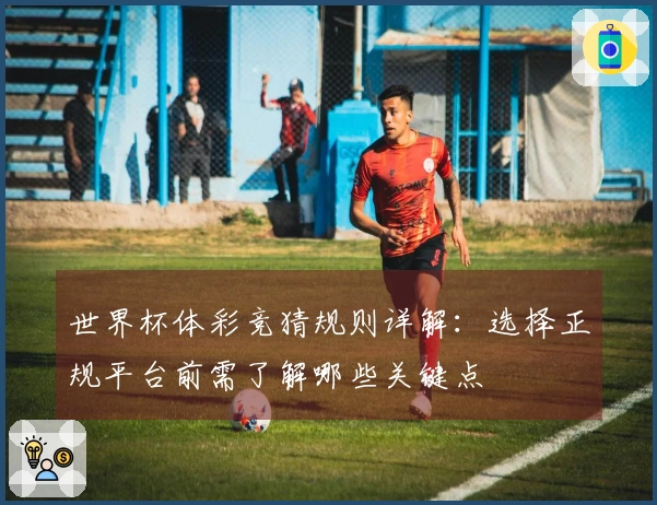 世界杯体彩竞猜规则详解：选择正规平台前需了解哪些关键点